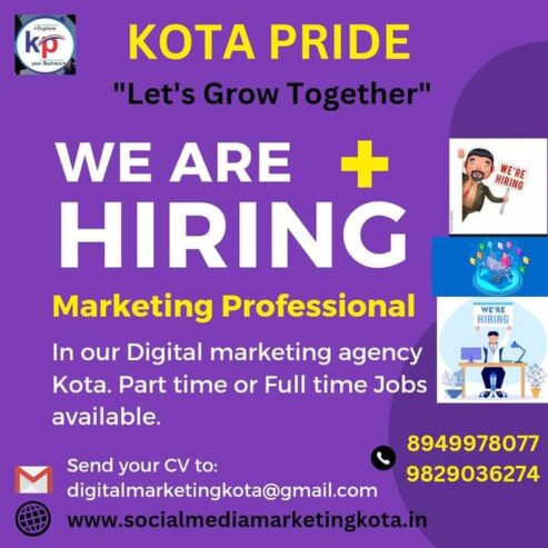 Jobs For Digital Marketer and website Devloper In Kota